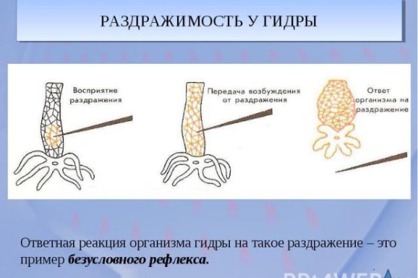 Ссылки на даркнет