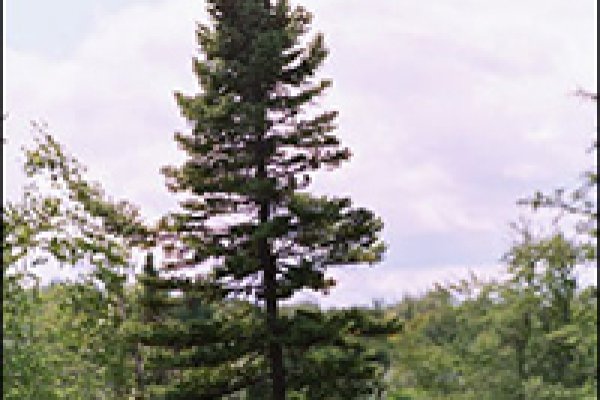 Как зарегистрироваться на кракене из россии