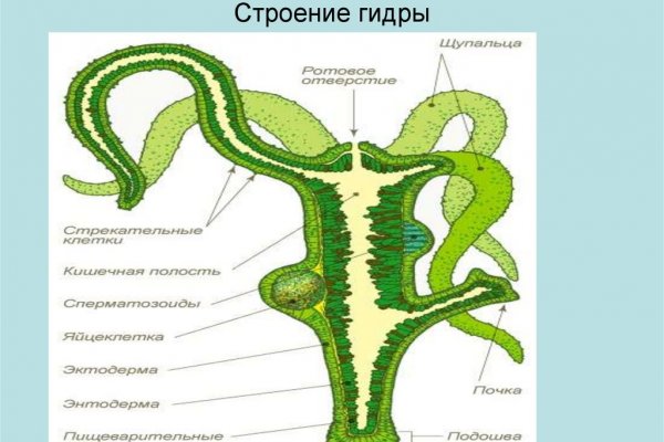 Кракен вход рабочий