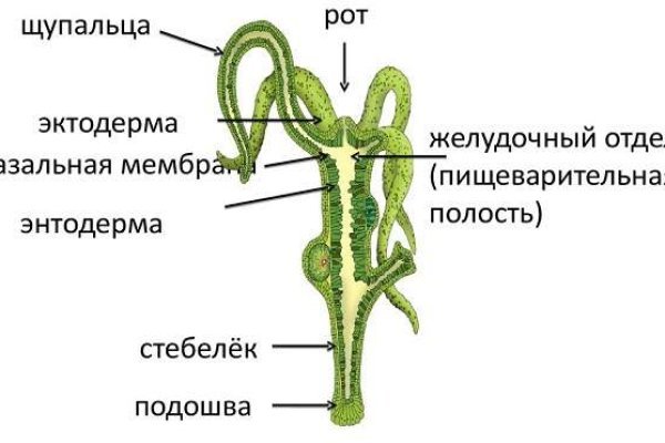 Что такое кракен маркет торкнет